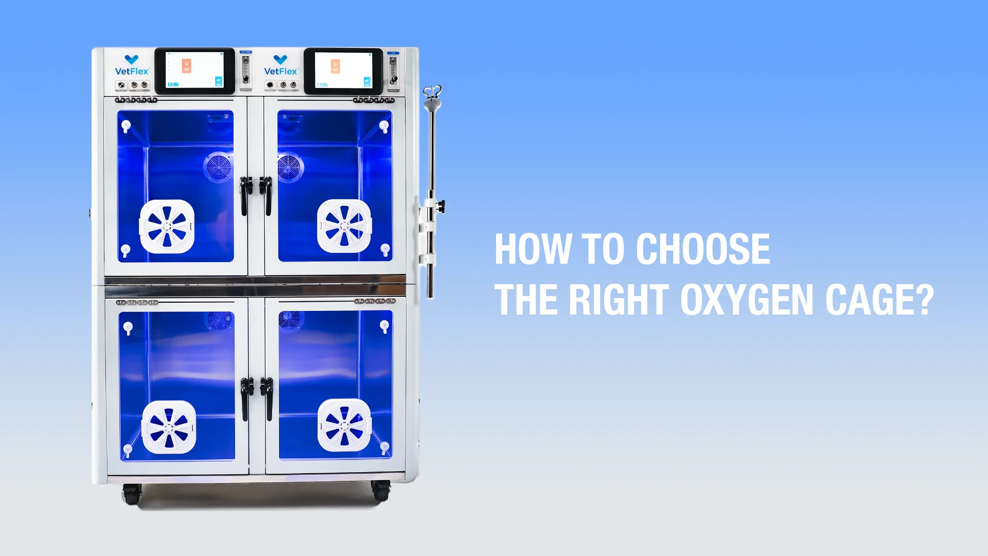 How to Choose the Right Veterinary Oxygen Cage for Your Practice