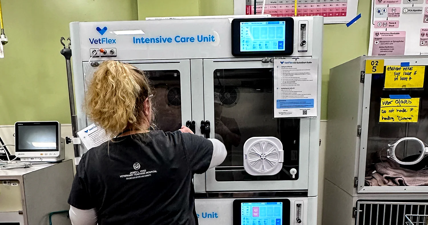Optimizing the Veterinary ICU: Avoiding Common Setup Mistakes