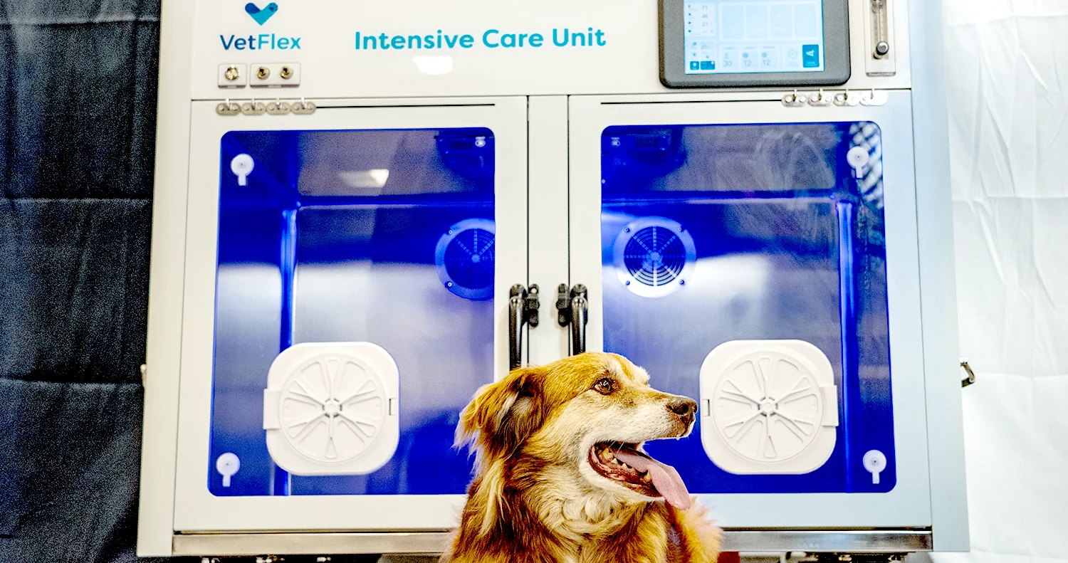 How Veterinary Oxygen Delivery Systems Work